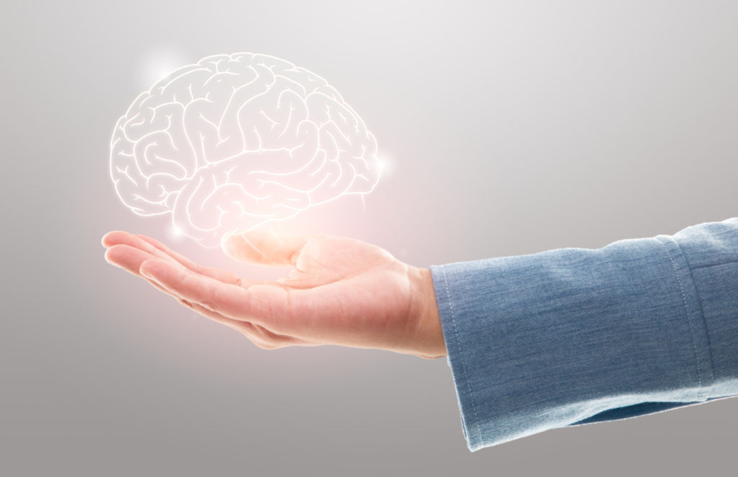 Female doctor holding brain illustration against the gray background. Mental health protection and care