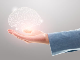 Female doctor holding brain illustration against the gray background. Mental health protection and care